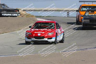 media/Oct-01-2023-24 Hours of Lemons (Sun) [[82277b781d]]/1045am (Outside Grapevine)/